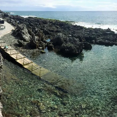 Tortuga's Mood * Alcalá la Real