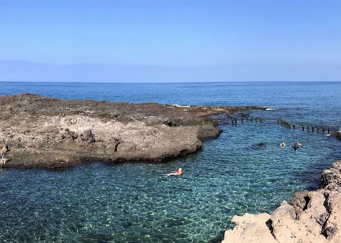 Tortuga's Mood Alcalá la Real