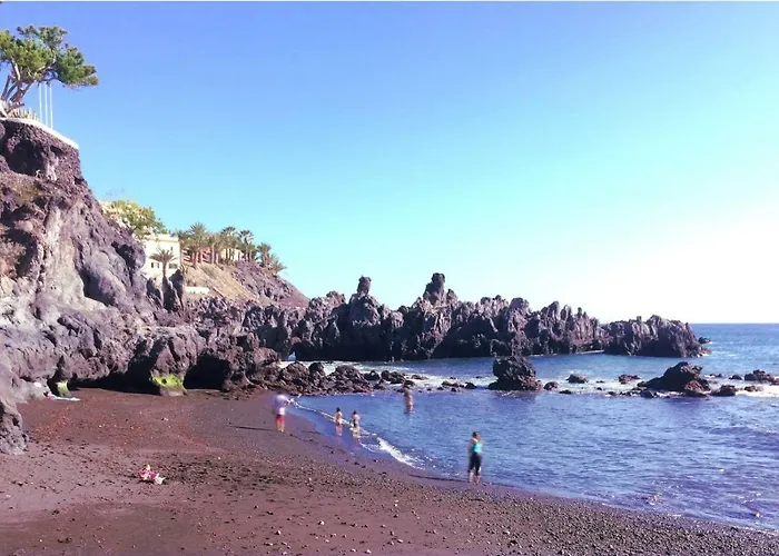 Tortuga's Mood Apartamento *