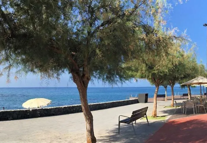 Tortuga's Mood Apartamento