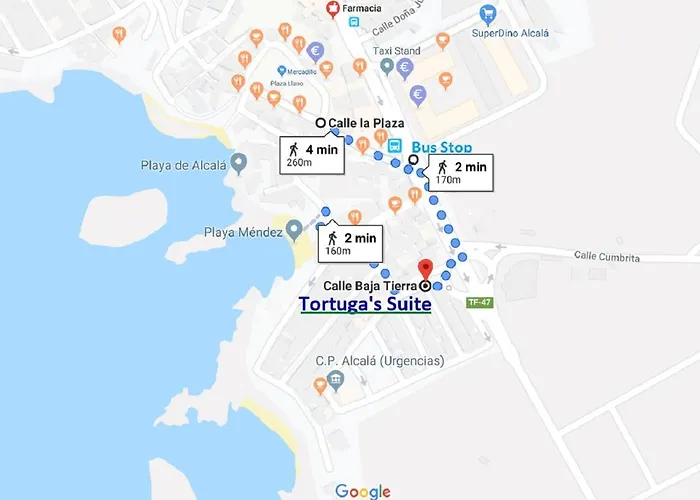 Tortuga's Mood * Alcalá la Real