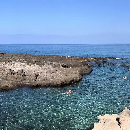 Tortuga's Mood Alcala (Tenerife)