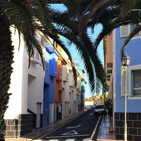 Tortuga's Mood Alcala (Tenerife)