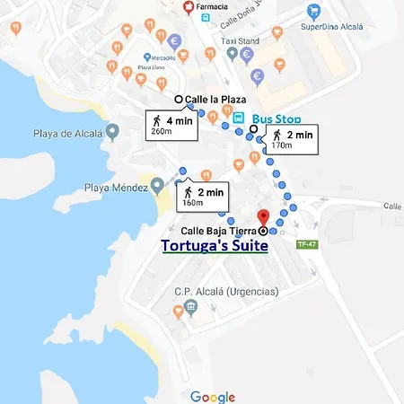 Tortuga's Mood * Alcala (Tenerife)