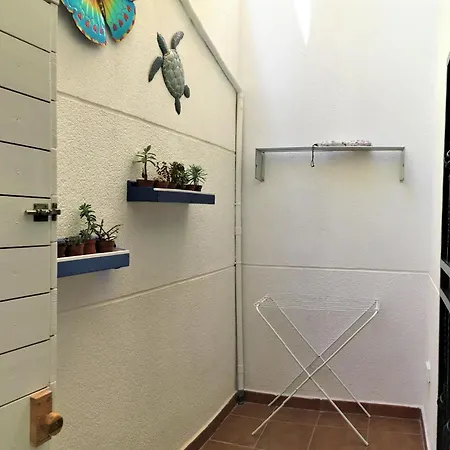 Apartment Tortuga's Mood